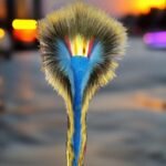 22 Inch Authentic Porcupine Roach Hair with 9 Inch Cut Work from Prairie and Heritage Shop