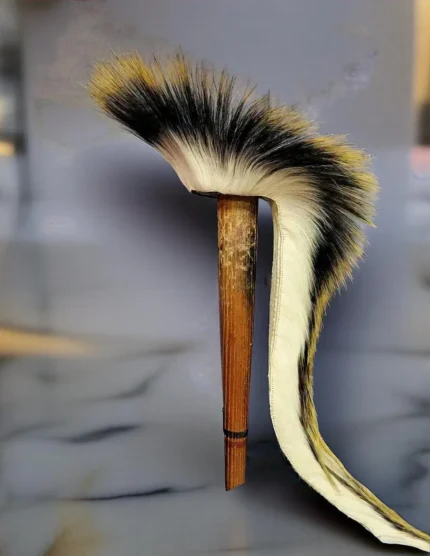 porcupine guard hair