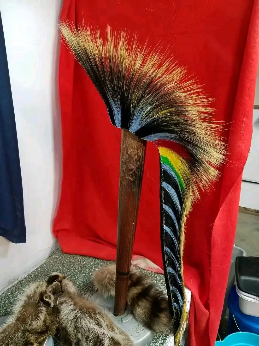 Porcupine Hair Porcupine Roach Hair1 Porcupine Hair: Porcupine Roach Hair