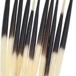 Porcupine Quills Meaning & Uses